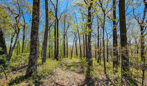 Photo #63 of Off Fire Trail Ln, Stuart, VA 585.0 acres