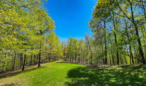 Photo #64 of Off Fire Trail Ln, Stuart, VA 585.0 acres