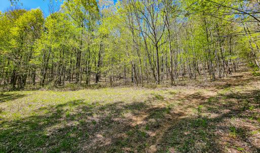 Photo #67 of Off Fire Trail Ln, Stuart, VA 585.0 acres