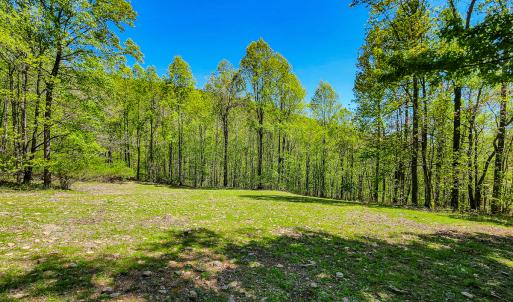Photo #69 of Off Fire Trail Ln, Stuart, VA 585.0 acres
