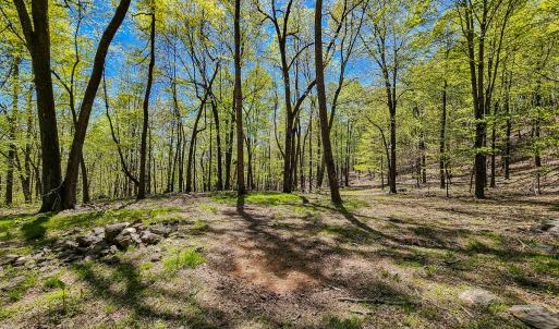 Photo #71 of Off Fire Trail Ln, Stuart, VA 585.0 acres