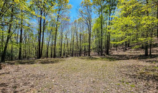 Photo #72 of Off Fire Trail Ln, Stuart, VA 585.0 acres