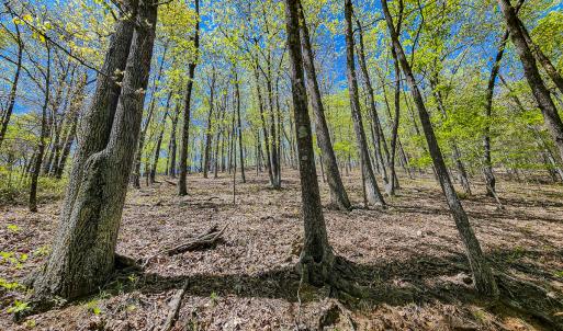 Photo #75 of Off Fire Trail Ln, Stuart, VA 585.0 acres