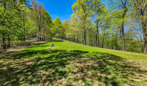 Photo #76 of Off Fire Trail Ln, Stuart, VA 585.0 acres