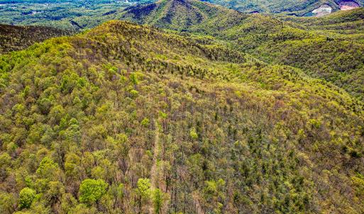 Photo #77 of Off Fire Trail Ln, Stuart, VA 585.0 acres