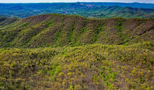 Photo #78 of Off Fire Trail Ln, Stuart, VA 585.0 acres
