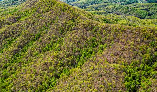 Photo #85 of Off Fire Trail Ln, Stuart, VA 585.0 acres