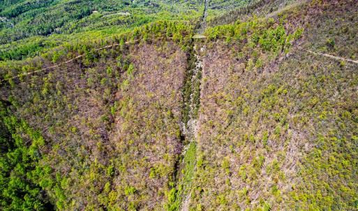 Photo #86 of Off Fire Trail Ln, Stuart, VA 585.0 acres