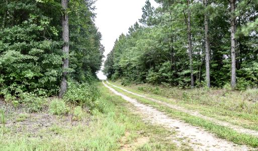 Photo #15 of 23144 Southampton Parkway , Courtland, VA 230.0 acres