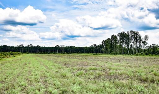 Photo #16 of 23144 Southampton Parkway , Courtland, VA 230.0 acres