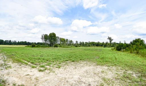 Photo #17 of 23144 Southampton Parkway , Courtland, VA 230.0 acres