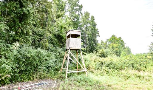 Photo #19 of 23144 Southampton Parkway , Courtland, VA 230.0 acres