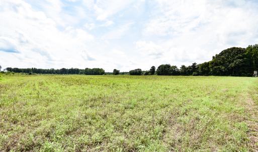 Photo #20 of 23144 Southampton Parkway , Courtland, VA 230.0 acres