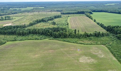Photo #29 of 23144 Southampton Parkway , Courtland, VA 230.0 acres
