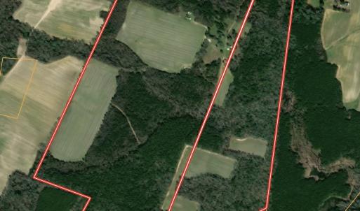 Photo #30 of 23144 Southampton Parkway , Courtland, VA 230.0 acres
