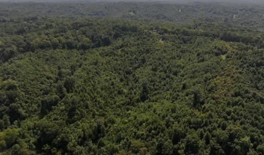 Photo #11 of 03 Seven Island Road, Danbury, NC 24.2 acres