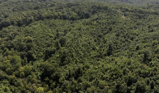 Photo #12 of 03 Seven Island Road, Danbury, NC 24.2 acres