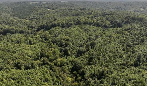 Photo #13 of 03 Seven Island Road, Danbury, NC 24.2 acres