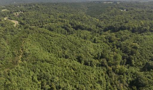 Photo #14 of 03 Seven Island Road, Danbury, NC 24.2 acres