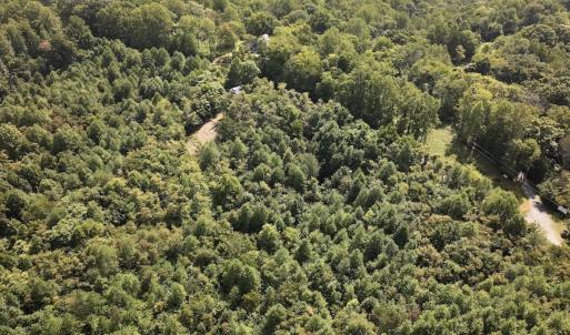 Photo #17 of 03 Seven Island Road, Danbury, NC 24.2 acres