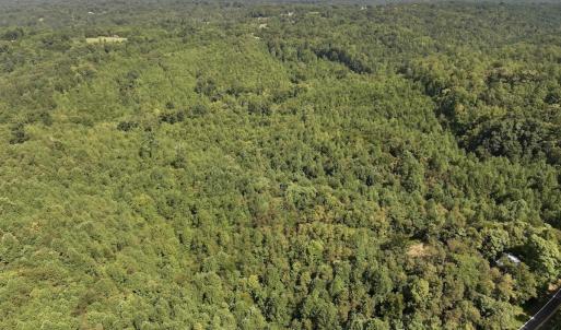Photo #19 of 03 Seven Island Road, Danbury, NC 24.2 acres