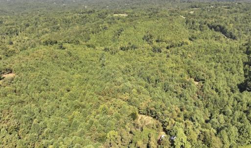 Photo #20 of 03 Seven Island Road, Danbury, NC 24.2 acres