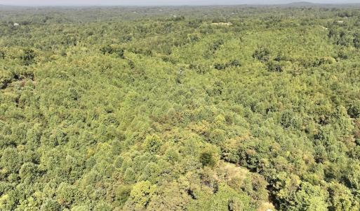 Photo #5 of 03 Seven Island Road, Danbury, NC 24.2 acres