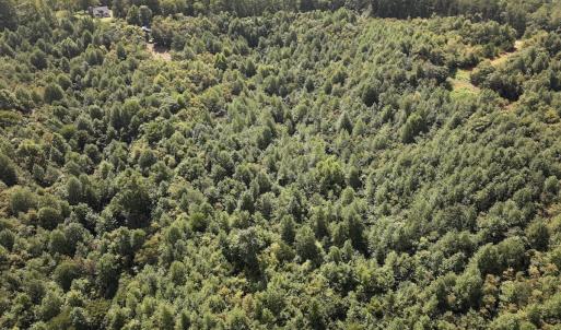 Photo #7 of 03 Seven Island Road, Danbury, NC 24.2 acres