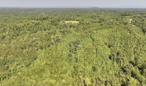 Photo #8 of 03 Seven Island Road, Danbury, NC 24.2 acres