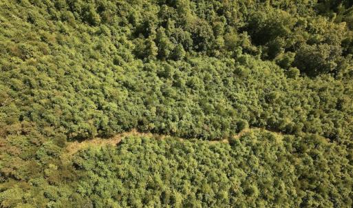 Photo #9 of 03 Seven Island Road, Danbury, NC 24.2 acres