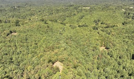 Photo #21 of 03 Seven Island Road, Danbury, NC 24.2 acres
