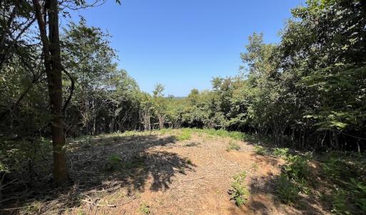 Photo #23 of 03 Seven Island Road, Danbury, NC 24.2 acres