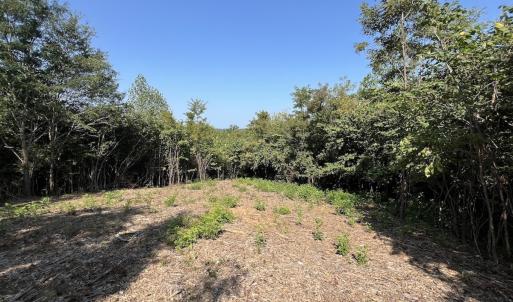 Photo #24 of 03 Seven Island Road, Danbury, NC 24.2 acres