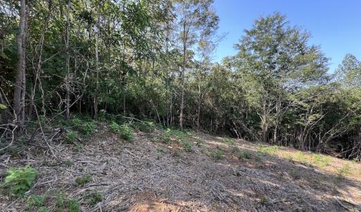 Photo #26 of 03 Seven Island Road, Danbury, NC 24.2 acres