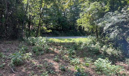 Photo #28 of 03 Seven Island Road, Danbury, NC 24.2 acres