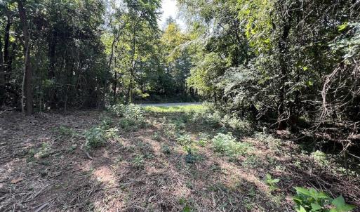 Photo #29 of 03 Seven Island Road, Danbury, NC 24.2 acres