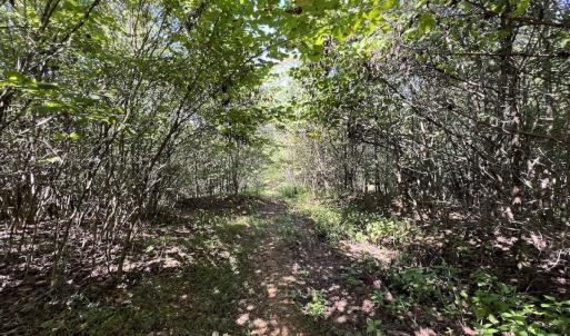 Photo #31 of 03 Seven Island Road, Danbury, NC 24.2 acres