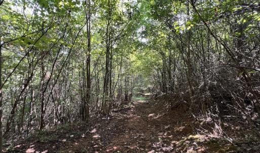 Photo #33 of 03 Seven Island Road, Danbury, NC 24.2 acres