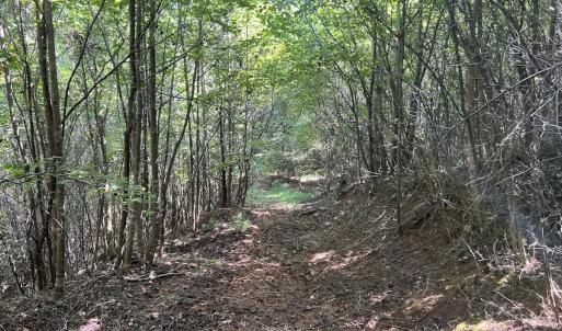 Photo #34 of 03 Seven Island Road, Danbury, NC 24.2 acres