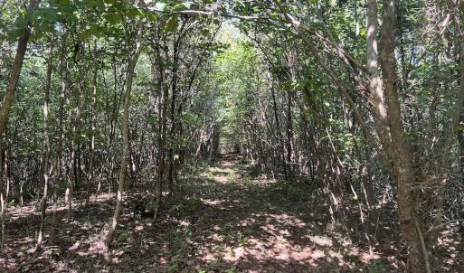 Photo #35 of 03 Seven Island Road, Danbury, NC 24.2 acres
