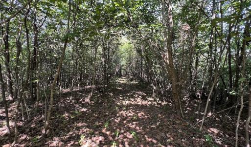 Photo #36 of 03 Seven Island Road, Danbury, NC 24.2 acres
