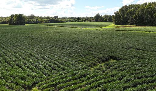 Photo #10 of Off South Main Street, City of Emporia, VA 51.0 acres