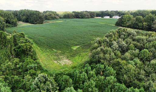 Photo #12 of Off South Main Street, City of Emporia, VA 51.0 acres