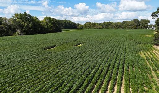 Photo #15 of Off South Main Street, City of Emporia, VA 51.0 acres