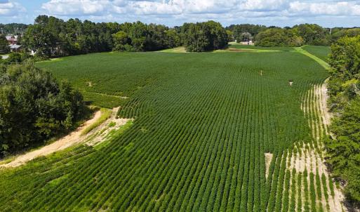 Photo #16 of Off South Main Street, City of Emporia, VA 51.0 acres