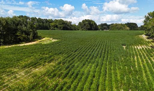 Photo #17 of Off South Main Street, City of Emporia, VA 51.0 acres