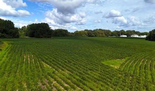 Photo #18 of Off South Main Street, City of Emporia, VA 51.0 acres