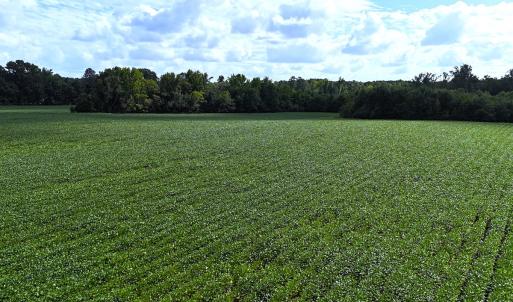 Photo #20 of Off South Main Street, City of Emporia, VA 51.0 acres