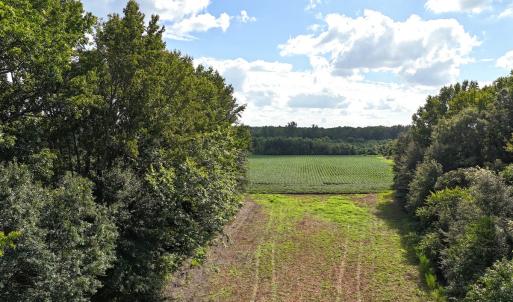 Photo #21 of Off South Main Street, City of Emporia, VA 51.0 acres