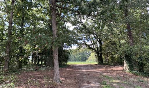 Photo #22 of Off South Main Street, City of Emporia, VA 51.0 acres